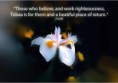 /album/islamic-wallpapers/a13-29-ayat-jpg/